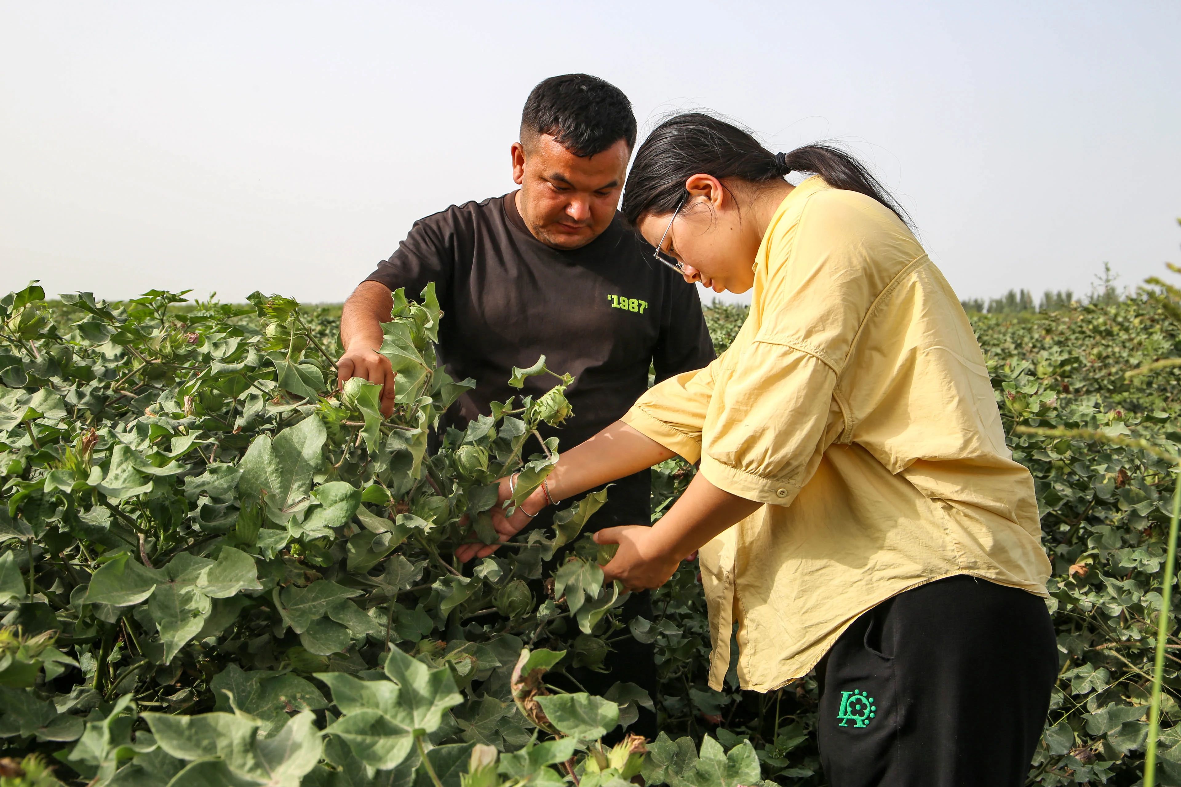 新疆生产建设兵团第三师图木舒克市